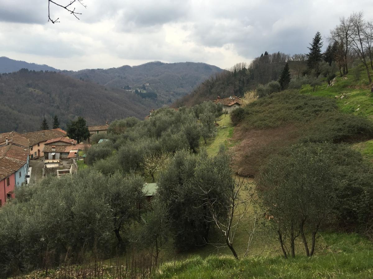 B&B Puccini Pescaglia 외부 사진