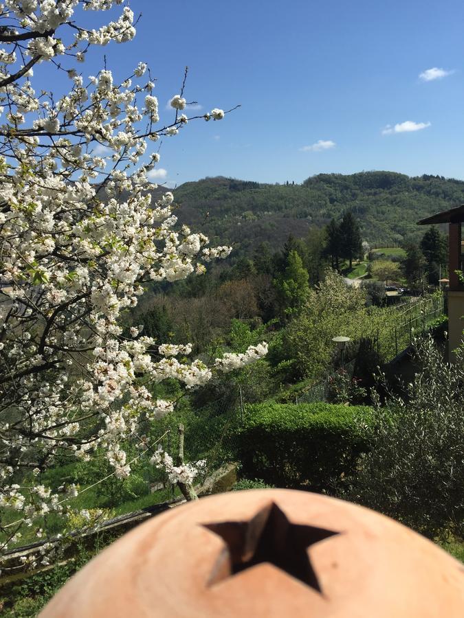 B&B Puccini Pescaglia 외부 사진